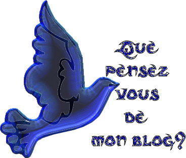 que pensez vous de mon blog